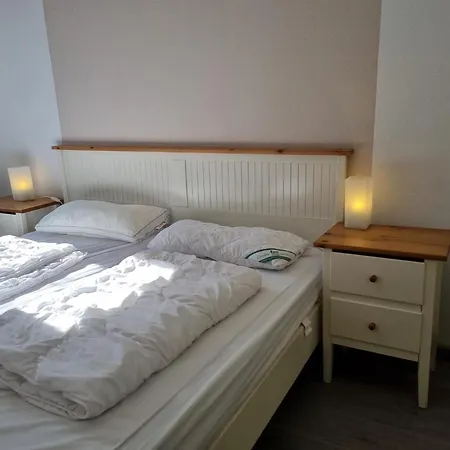 Ferienhaus-ohrenqualle Dornumersiel