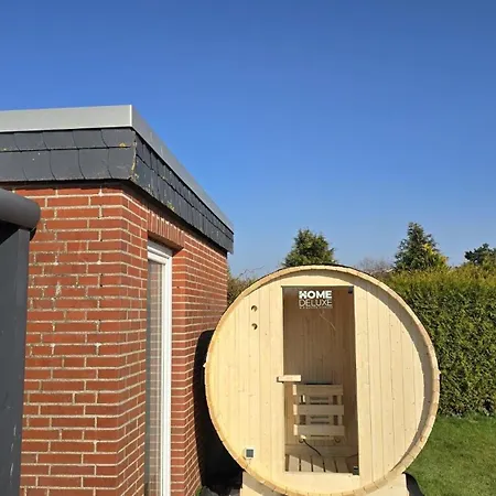 Ferienhaus-ohrenqualle