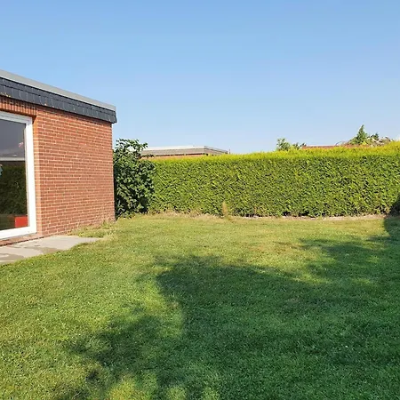 Ferienhaus-ohrenqualle