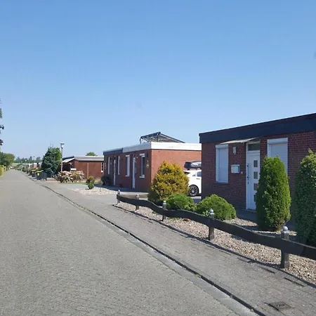 Ferienhaus-ohrenqualle