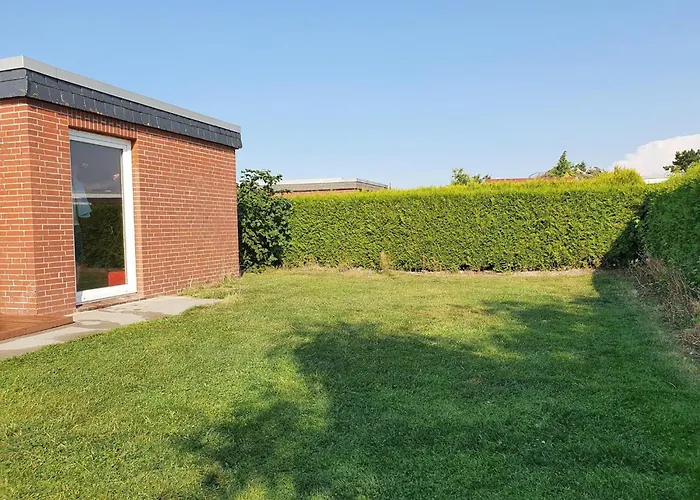 Ferienhaus-ohrenqualle