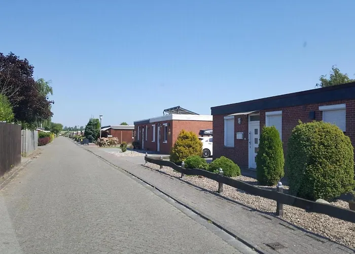 Ferienhaus-ohrenqualle
